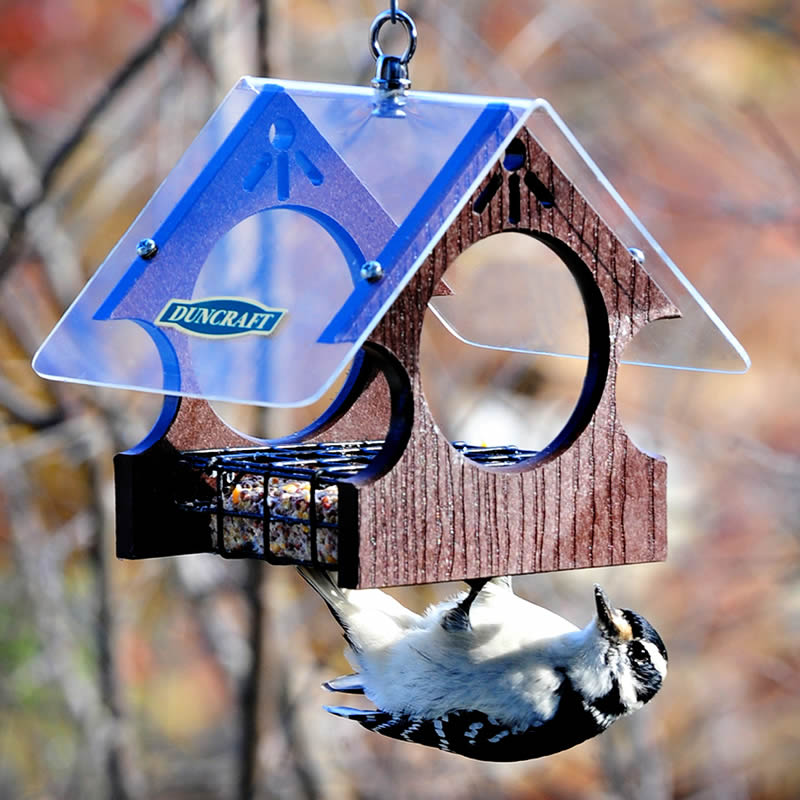 Duncraft Suet Magnet Feeder with clear acrylic top, blue logo, and built-in hanging loop, designed for clinging and perching birds to enjoy suet.