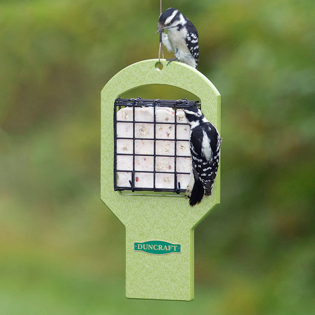 Duncraft EZ Tail Prop Suet Feeder with a woodpecker feeding on it, showing its long tail stabilizing against the light green feeder.