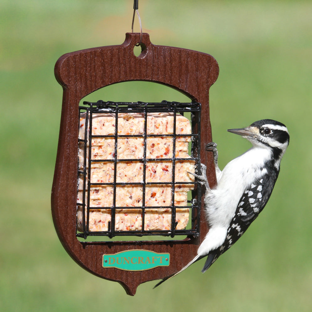 Duncraft Acorn Suet Cake Feeder featuring a woodpecker feeding on suet inside a decorative acorn-shaped feeder, designed for easy bird viewing and feeding.