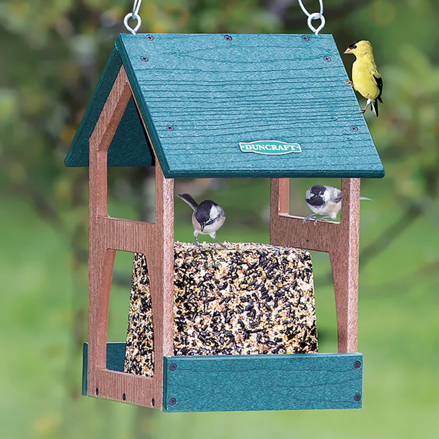 Duncraft Hanging Seed Block Feeder with birds perched on it, showcasing its spacious perching area and sturdy construction ideal for outdoor feeding.