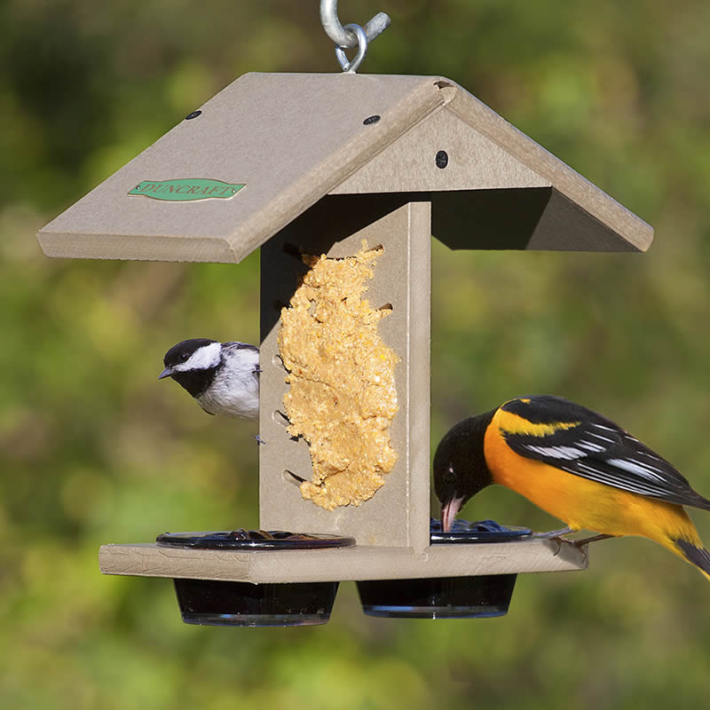 Duncraft Eco-Strong PB & J Feeder with a bird eating from it, highlighting its design for holding peanut butter and jelly for various birds.