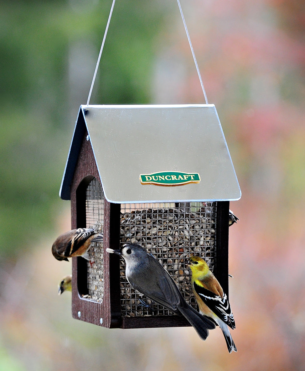 Duncraft Classic Mesh Sunflower Feeder with birds perched on metal mesh, featuring a reflective roof and hanging cable, designed to prevent larger birds from overeating.