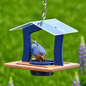 Duncraft Elegant Bluebird Feeder with metal roof and wooden tray, featuring a bluebird eating from a 7 oz. dish, ideal for compact outdoor spaces.