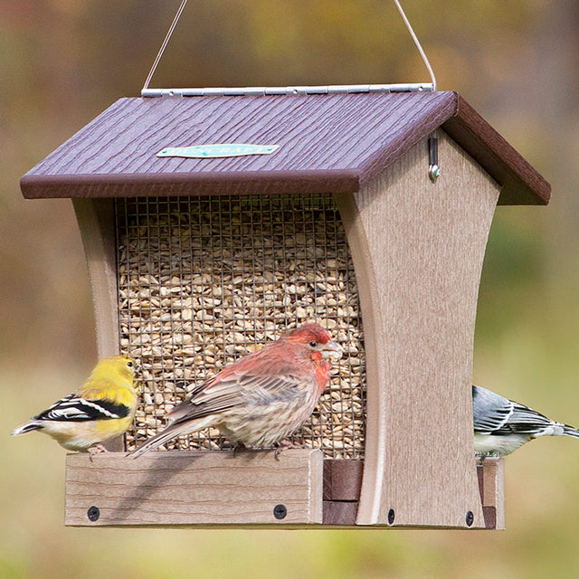 Duncraft Eco-Strong Dual Action Hopper with birds feeding, featuring stainless steel mesh sides and a tray for larger birds.