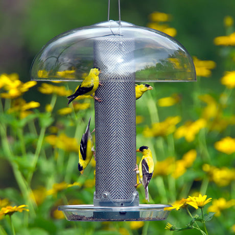 Finch Mesh Tube with Weather Dome and Tray, featuring a group of birds feeding on a metal mesh feeder with a protective weather dome and tray.