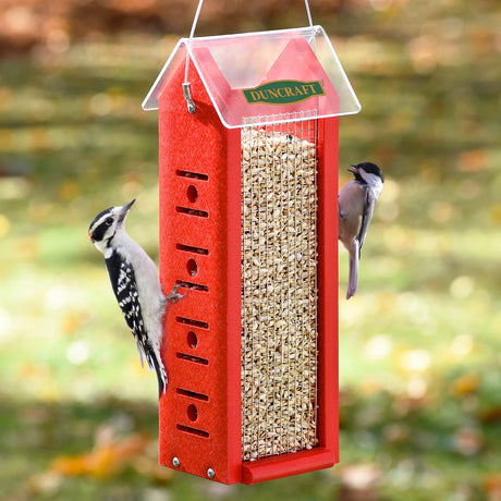 Duncraft Four Sided Woodpecker Feeder with multiple birds clinging and feeding on wire mesh, featuring a clearview plastic roof and red recycled plastic wood sides.