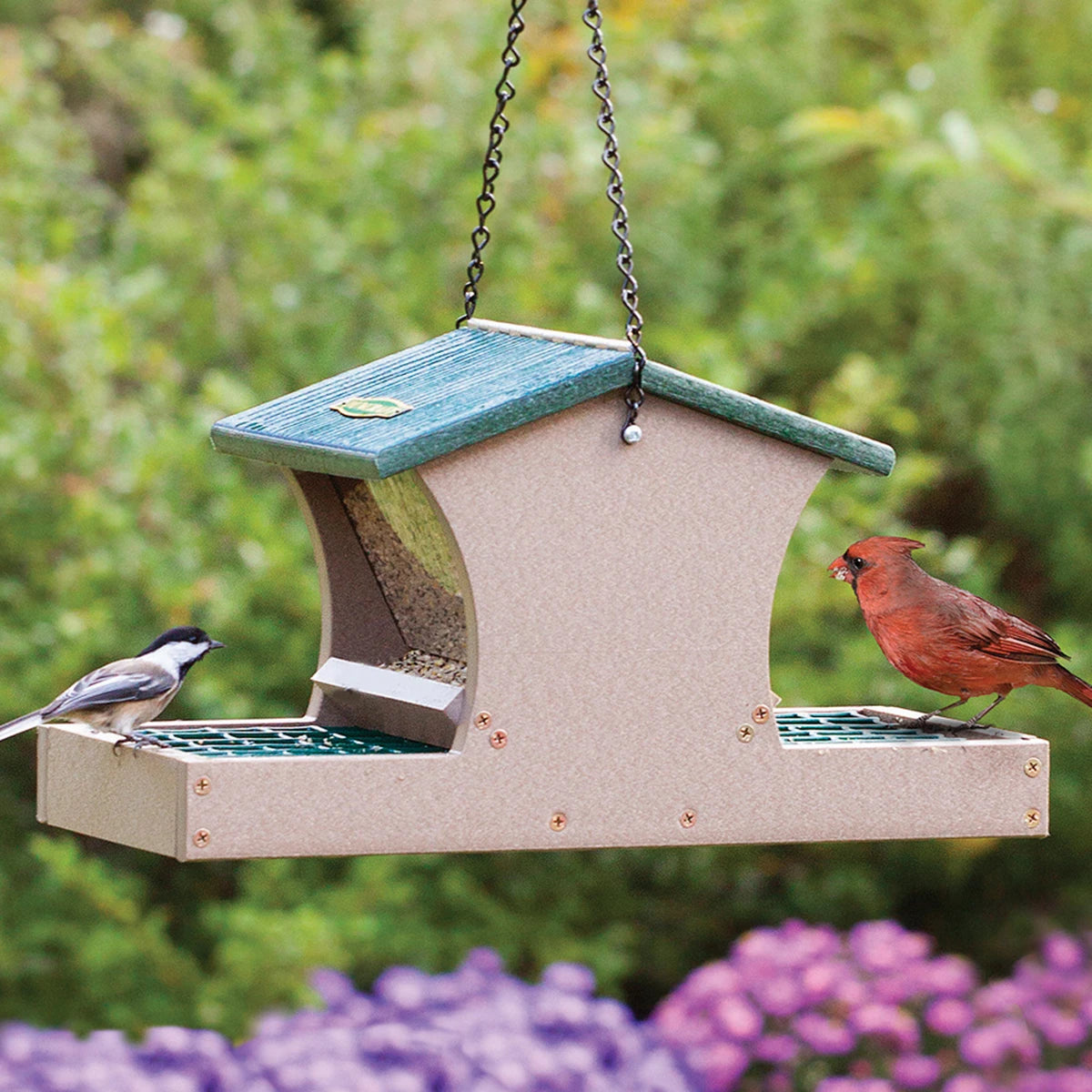 Duncraft Two Decks Platform & Hopper Feeder: A red bird perched on a dual-level bird feeder with wire mesh trays and a blue roof, hanging from a chain.