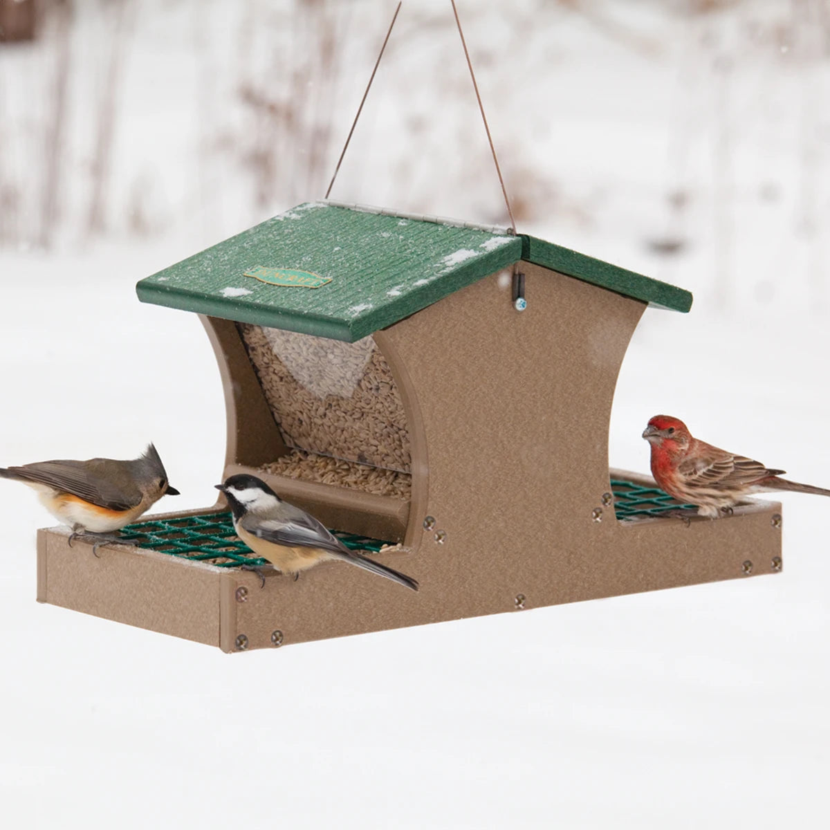 Duncraft Two Decks Platform & Hopper Feeder with birds perched on the feeder’s trays and mesh grid, showing its dual-level design and built-in perches.