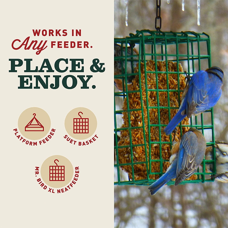 Bluebirds eating from a hanging seed feeder beside text listing platform feeders, suet baskets and the Mr. Bird XL Neatfeeder