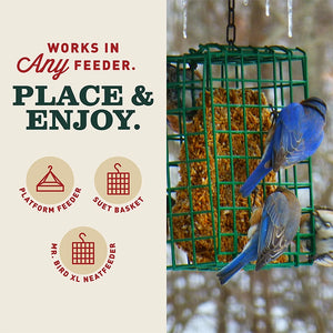 Bluebirds eating from a hanging seed feeder beside text listing platform feeders, suet baskets and the Mr. Bird XL Neatfeeder