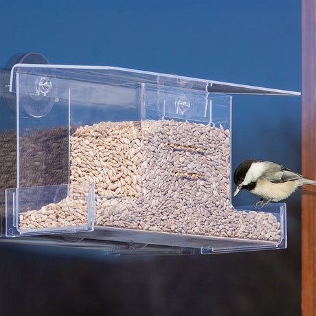 Duncraft Clearly Classic Window Hopper Feeder with a bird eating from the feeder, featuring grooved slots and a wide roof for easy refills.