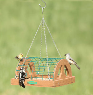 Duncraft Eco-Strong Hanging Haven Platform Feeder with green wire mesh, birds perched and feeding, features side cutouts, hanging chain, and eco-friendly recycled plastic wood.