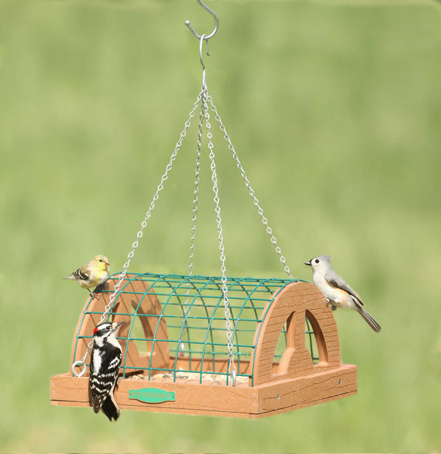 Duncraft Eco-Strong Hanging Haven Platform Feeder with green wire mesh, birds perched and feeding, features side cutouts, hanging chain, and eco-friendly recycled plastic wood.