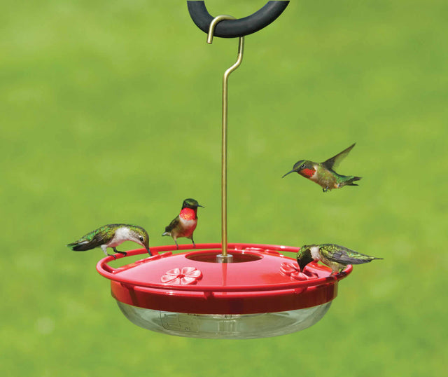 Aspects High View HummZinger hummingbird feeder with four feeding stations and a clear basin, showing multiple hummingbirds feeding and resting on the red perch.