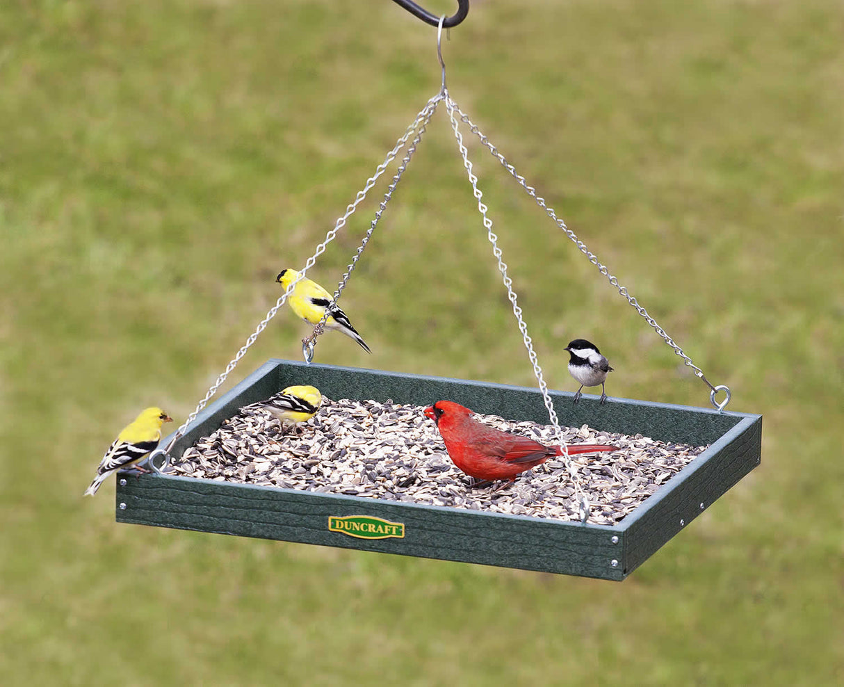 Duncraft XL Hanging Platform Bird Feeder with multiple birds feeding, featuring a large platform, metal mesh flooring, and durable construction with an S-hook hanging chain.