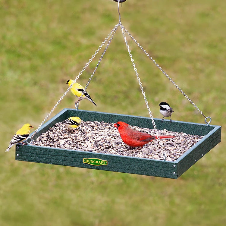 Duncraft XL Hanging Platform Bird Feeder with Northern Cardinal, American Goldfinches, and Chickadee, featuring a seed tray and durable green frame with metal chains.