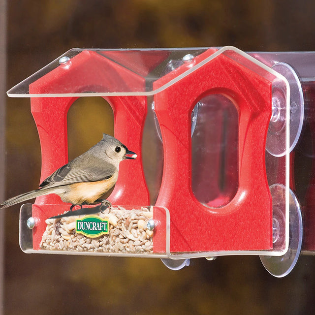 Duncraft Flight Song Window Feeder with a bird perched on it, showcasing the clear view plastic roof and tray. Holds one cup of seed.