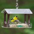 Duncraft Flight Song Hanging Feeder with a yellow bird perched inside, showcasing its eco-friendly recycled plastic sides and clearview plastic top and bottom.