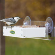 Duncraft Window Platform Feeder with a bird perched on it, featuring a clear view front and rust-proof perforated aluminum bottom for drainage.