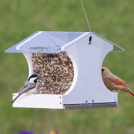 Duncraft Easy Clean Hopper Feeder, White, with two birds feeding, featuring two seed trays and a removable metal mesh tray for easy cleaning.