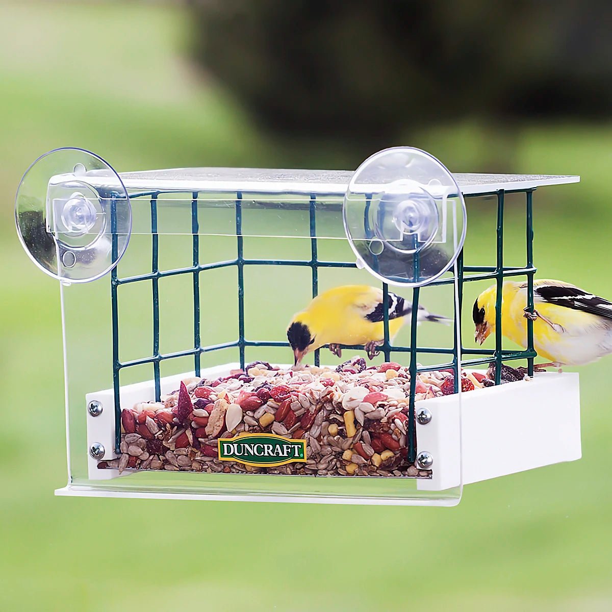 Duncraft Sheltered Haven Window Feeder with clear plastic guard, secure suction cups, and perforated aluminum bottom, allowing small birds to feed while keeping larger birds out.