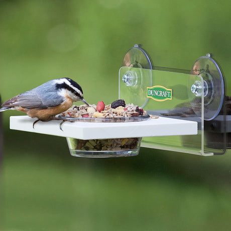 Window Easy Serve Feeder: A sparrow perched on a window-mounted bird feeder with a clear plastic guard, secured by two suction cups, eating bird food.