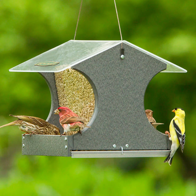 Easy Clean Hopper Feeder with birds perching and feeding. Features two seed trays, metal mesh drainage tray, and clear plastic sides for easy viewing.