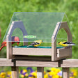 Duncraft Universal Seed Saver Platform Feeder with clear roof, showcasing multiple birds feeding on a platform tray.