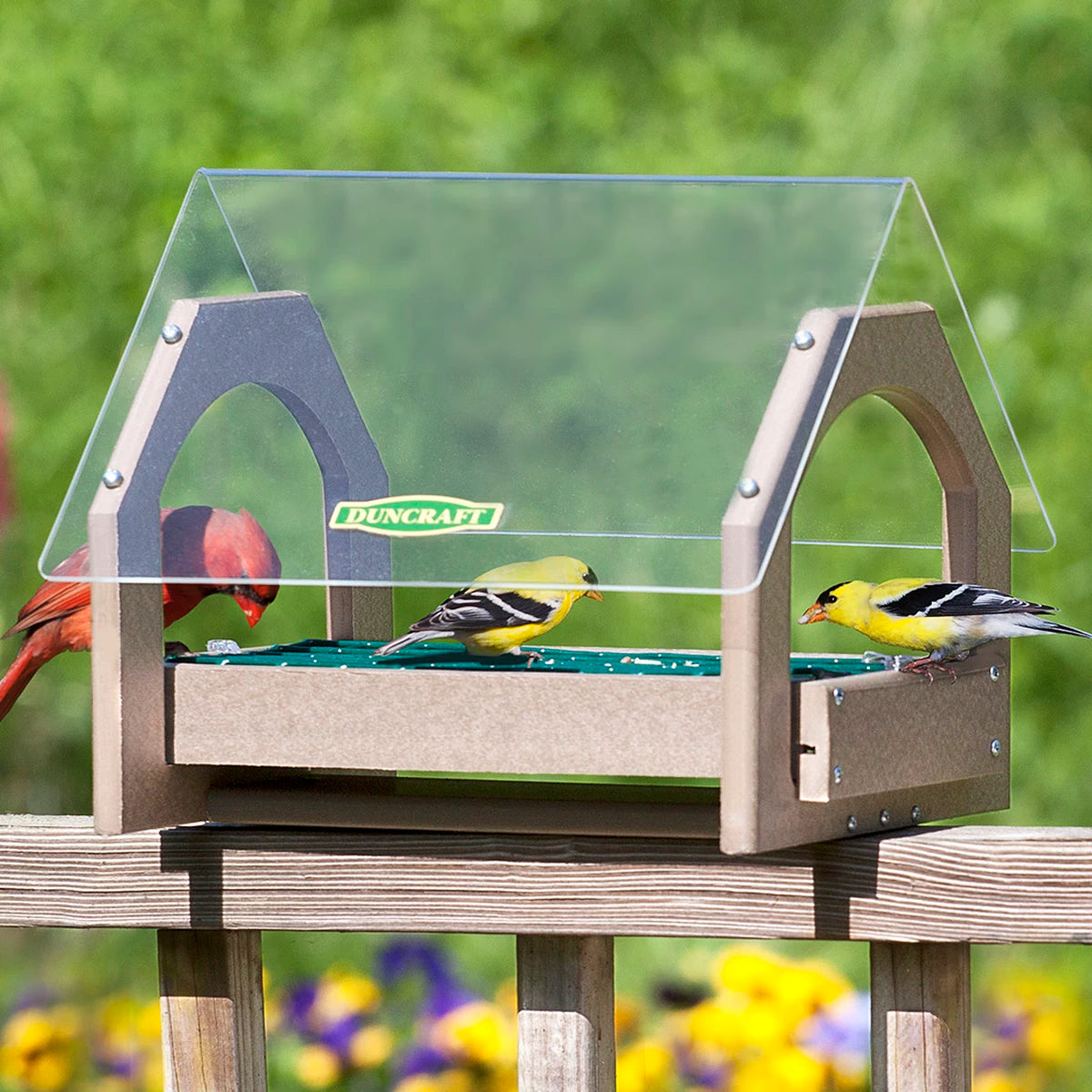 Duncraft Universal Seed Saver Platform Feeder with clear roof, showcasing multiple birds feeding on a platform tray.