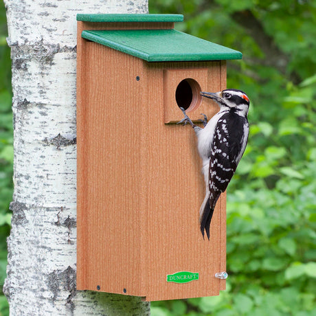 Duncraft Three Woodpecker House with a woodpecker perched on the entry hole, made of rugged recycled plastic, featuring a predator guard and cleanout panel.