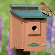 Duncraft Eco-Strong Protected Songbird House with a sparrow perched on the entrance, featuring a 1-1/4 inch entry hole and predator guard.