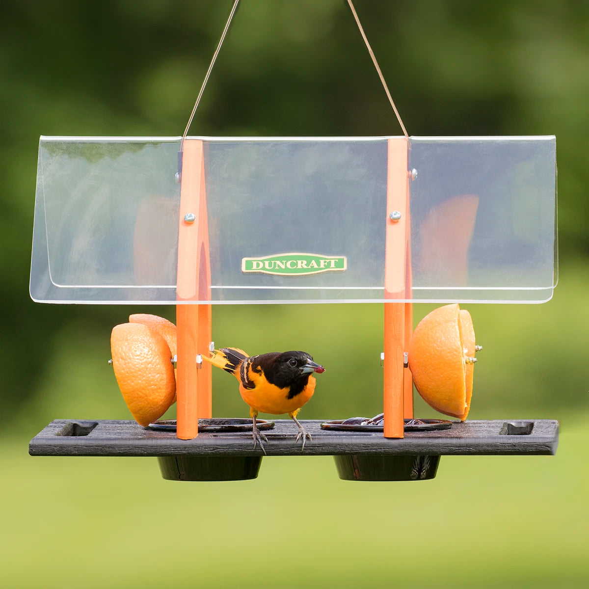 Duncraft Super Sized Oriole Feeder with built-in perches, featuring a large clear roof and space for orange halves and jelly dishes.