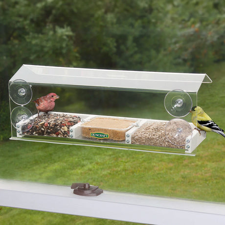 Duncraft Picture Window Feeder with three compartments, holding suet cakes and mixed seeds, attached to a window with suction cups, featuring a durable plastic roof and metal mesh drainage.