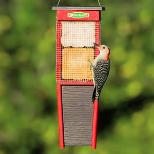 Duncraft Woodpecker Suet Shield Wrap Feeder, featuring a bird perched on the wire mesh feeder designed to prevent larger birds and squirrels from gorging.