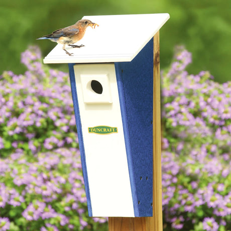 Duncraft Bird-Safe® Peterson Bluebird House featuring a bird perched on top, highlighting its predator lookout grooves and tapered design for bluebird protection.