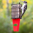 Duncraft Tail Prop Suet Shield Blocker Feeder with a woodpecker eating from the suet feeder, featuring a stainless steel wire mesh insert to prevent suet gorging.