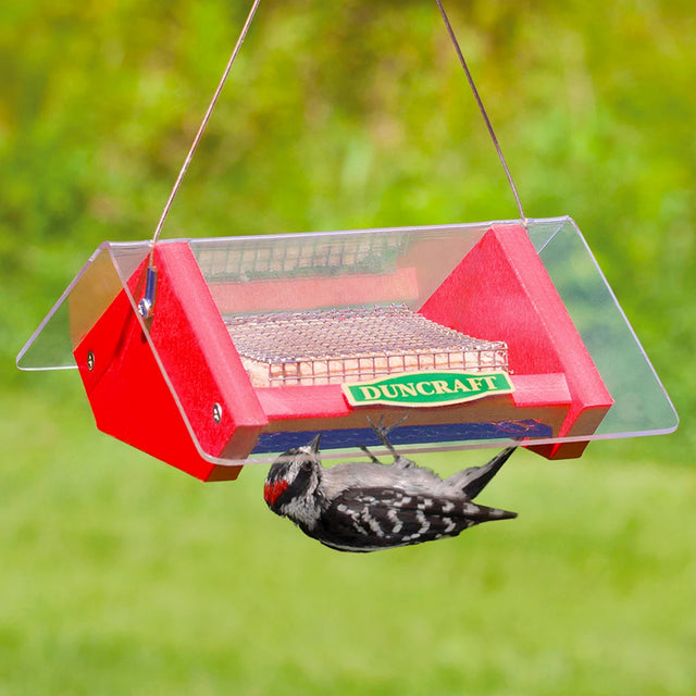 Upside Down Suet Shield Blocker Feeder featuring a bird feeding from a wire mesh insert, designed to deter larger birds and extend suet longevity.