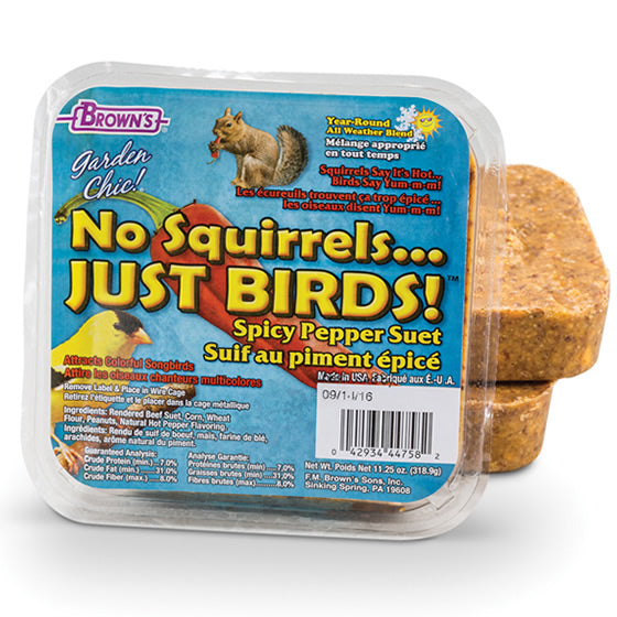 No Squirrels Just Birds, 8 Cakes - a plastic container of suet cakes with a label, designed to deter squirrels and attract birds for year-round feeding.