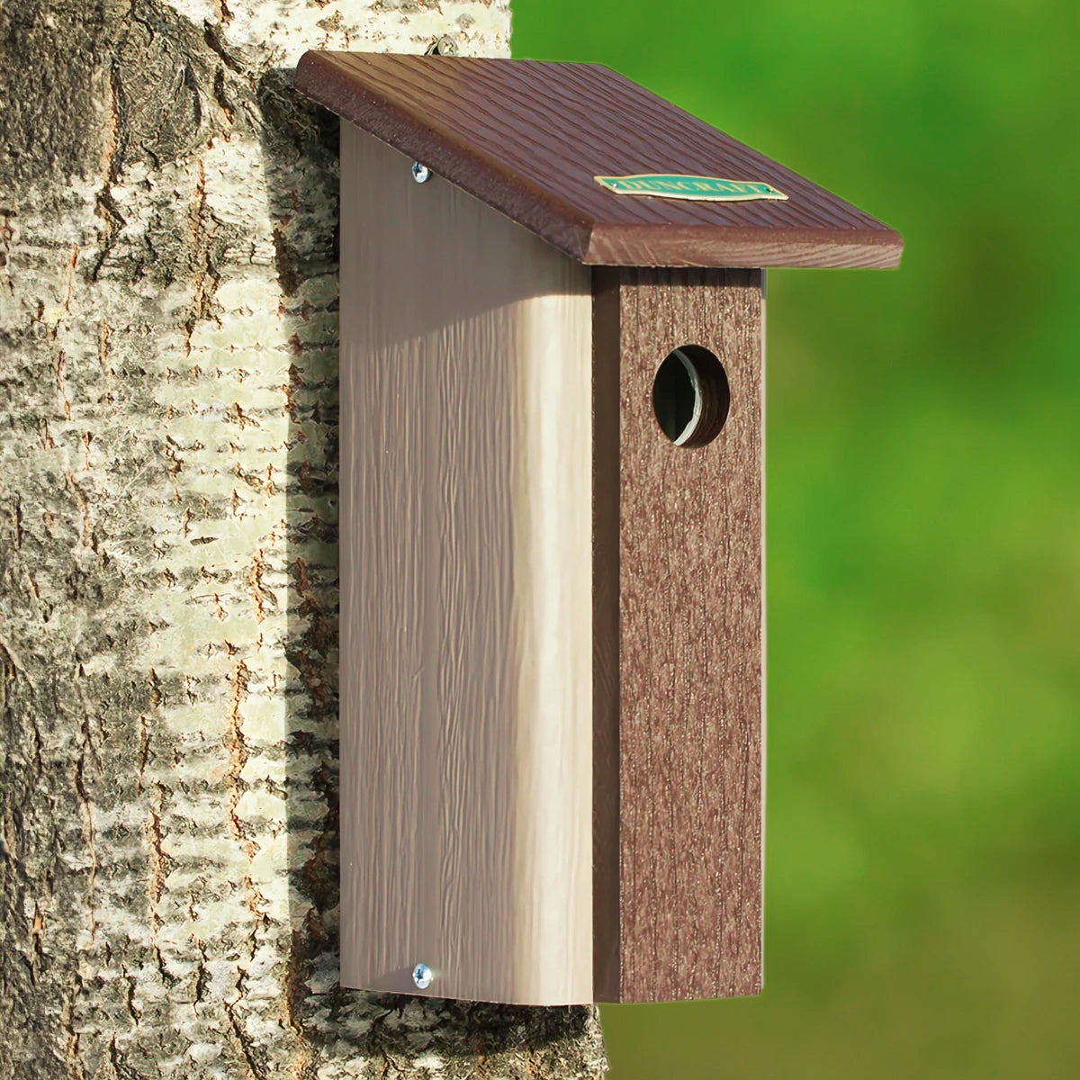 Duncraft Downy Woodpecker Bird House