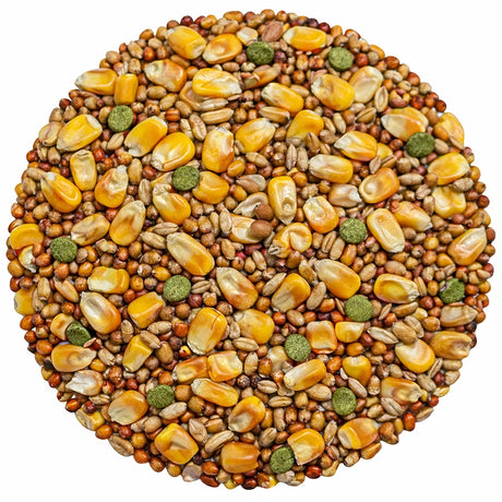Circle of the seed that is in the Brown's Bird Lover's Blend® Duck & Goose Blend Seeds on a white background. Corn, milo, wheat, soybean meal, pellets and more.  