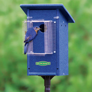 Duncraft Bird-Safe® Bluebird House & Pole with Noel Guard, showcasing a bluebird inside the birdhouse, designed to protect against predators with ventilation and raised mesh flooring.