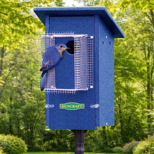 Angled view of a blue birdhouse with a circular entrance hole and extended wire predator guard, mounted on a pole against a green forest background.