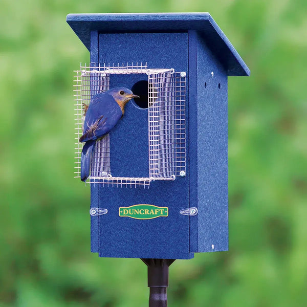 Bluebird House & Pole with Noel Guard | Bird-Safe Birdhouses