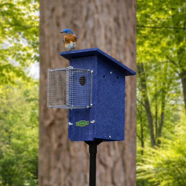 Three-quarter view of a blue birdhouse on a pole with a wire predator guard, featuring a bluebird perched on the roof, with trees and greenery in the background.