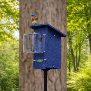Three-quarter view of a blue birdhouse on a pole with a wire predator guard, featuring a bluebird perched on the roof, with trees and greenery in the background.