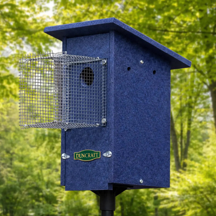 Angled view of a blue birdhouse with a circular entrance hole and extended wire predator guard, mounted on a pole against a green forest background.