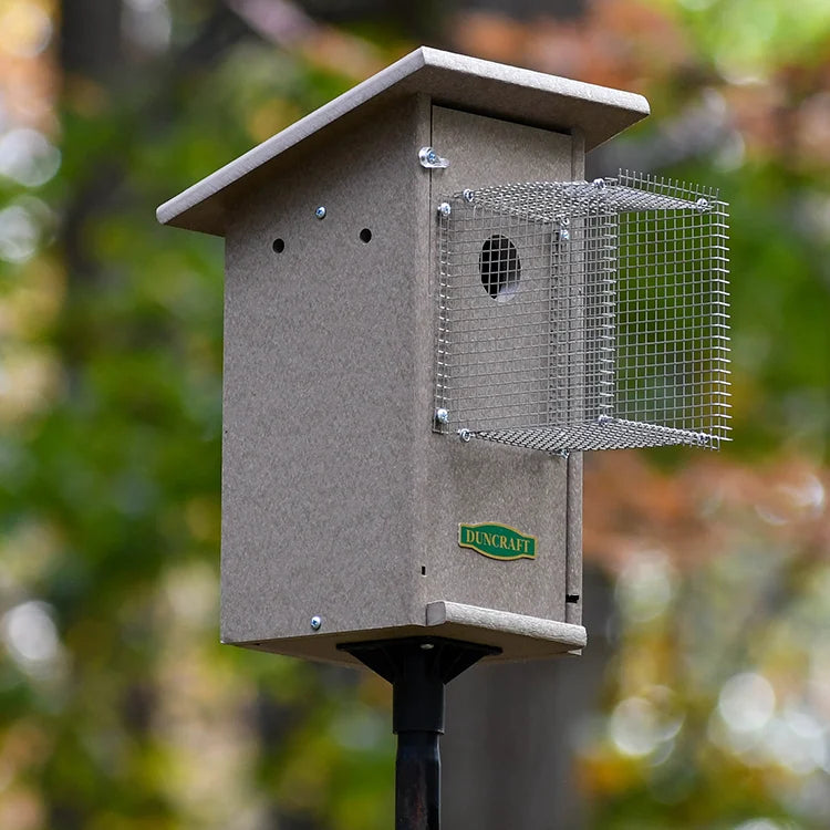 Duncraft Bird-Safe® Weathered Bluebird House & Pole with Noel Guard features a gray composite box with a predator guard and round entry hole, mounted on a metal pole.