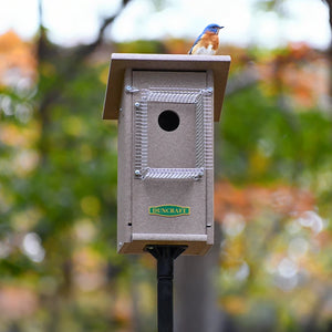 Eastern Bluebird perched on Duncraft Bird-Safe® Weathered Bluebird House, featuring a wire predator guard around the entry hole, mounted on a sectional pole.