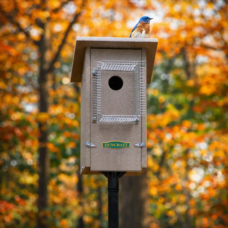 Front view of a beige birdhouse with a circular entrance hole and surrounding wire predator guard, mounted on a pole with a bluebird resting on the roof, autumn foliage in the background
