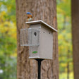 Duncraft Bird-Safe® Weathered Bluebird House & Pole with Noel Guard, featuring an Eastern bluebird on top, mounted on a post with a wire-mesh predator guard.
